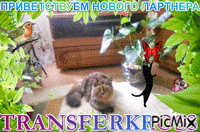 TransferKross - GIF animé gratuit