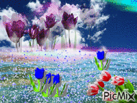 Tulpen - GIF animate gratis