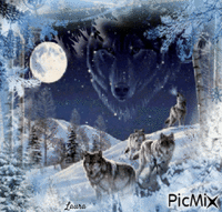 Luna e lupi - Laura