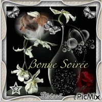 BONNE SOIRÉE Animated GIF