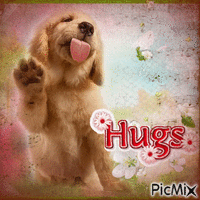 Sweet Hugs