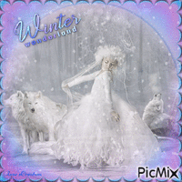 Concours : Loups en hiver - Tons bleus et violets - Animovaný GIF zadarmo