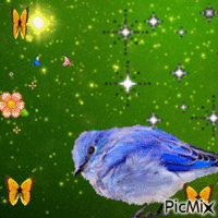L'oiseau - Darmowy animowany GIF