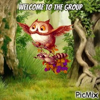welcome owl анимированный гифка