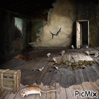ABANDONED ROOM WITH WATER LEAK animovaný GIF