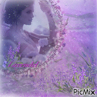 Lavendel/Lavender