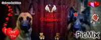Valentine's Day 动画 GIF