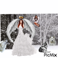 White Angel and Wolves