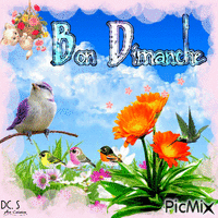 Bon Dimanche - Δωρεάν κινούμενο GIF