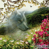 wolf - Darmowy animowany GIF