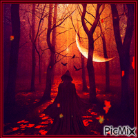 AUTUMN FOREST Animated GIF
