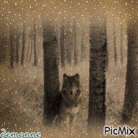 le loup solitaire - Gratis geanimeerde GIF