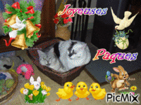 Joyeuses Pâques 2014 - 免费动画 GIF