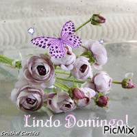 Lindo Domingo! - Darmowy animowany GIF