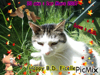 happy BD Ficelle - GIF เคลื่อนไหวฟรี