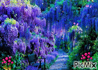 Flores azuis - Bezmaksas animēts GIF
