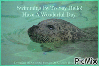 Swimming By To Say Hello! Have A Wonderful Day! - Ücretsiz animasyonlu GIF
