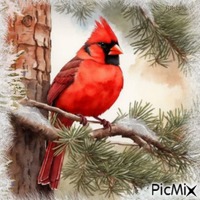 Winter bird animovaný GIF