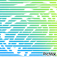 La cloture multicolore - Bezmaksas animēts GIF
