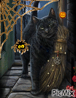 Cat Hallowenn 3 анимиран GIF