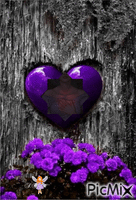 Corazón en la corteza animovaný GIF