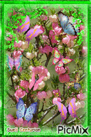 Borboletas nas flores анимиран GIF