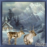 Vie sauvage dans un décor de montagne en hiver. - Free animated GIF