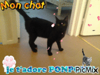 ponpon - Gratis animerad GIF