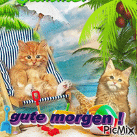 gute morgen - Free animated GIF