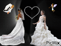 les mariées - Darmowy animowany GIF