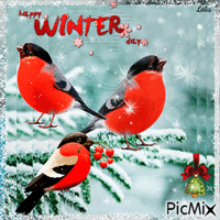 Happy Winter day. Birds