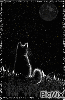 Luna y gato. GIF แบบเคลื่อนไหว