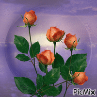 Roses GIF animé