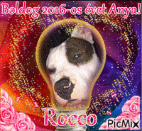 Rocco - Darmowy animowany GIF