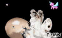 Licorne qui nait - Ilmainen animoitu GIF