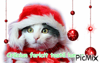 Crăciun fericit - Gratis geanimeerde GIF