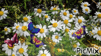 пролет - Безплатен анимиран GIF