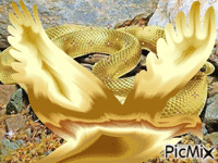 Astutos como serpientes, mansos como palomas Animated GIF