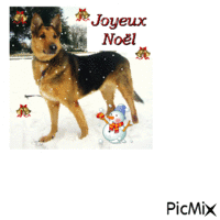 titre : joyeux noël Enzo neige - Δωρεάν κινούμενο GIF
