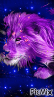 beau lion - GIF animasi gratis