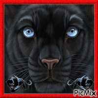 Black Panther animowany gif