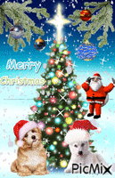 Christmas - Δωρεάν κινούμενο GIF