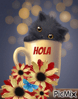 Hola - Бесплатный анимированный гифка