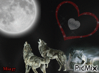 Les loups - Bezmaksas animēts GIF