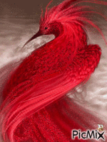 vogel - Ücretsiz animasyonlu GIF