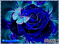 ♥ blu rose ♥ Gif Animado