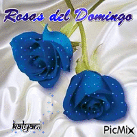 Rosas del Domingo 29 - GIF animate gratis