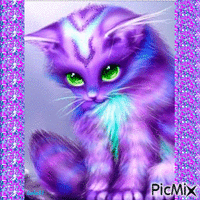 gato geanimeerde GIF