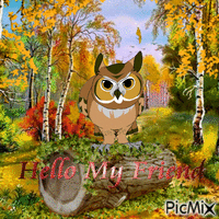 Hello friend Owl - GIF เคลื่อนไหวฟรี