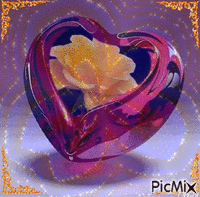 rosa amarela - Zdarma animovaný GIF